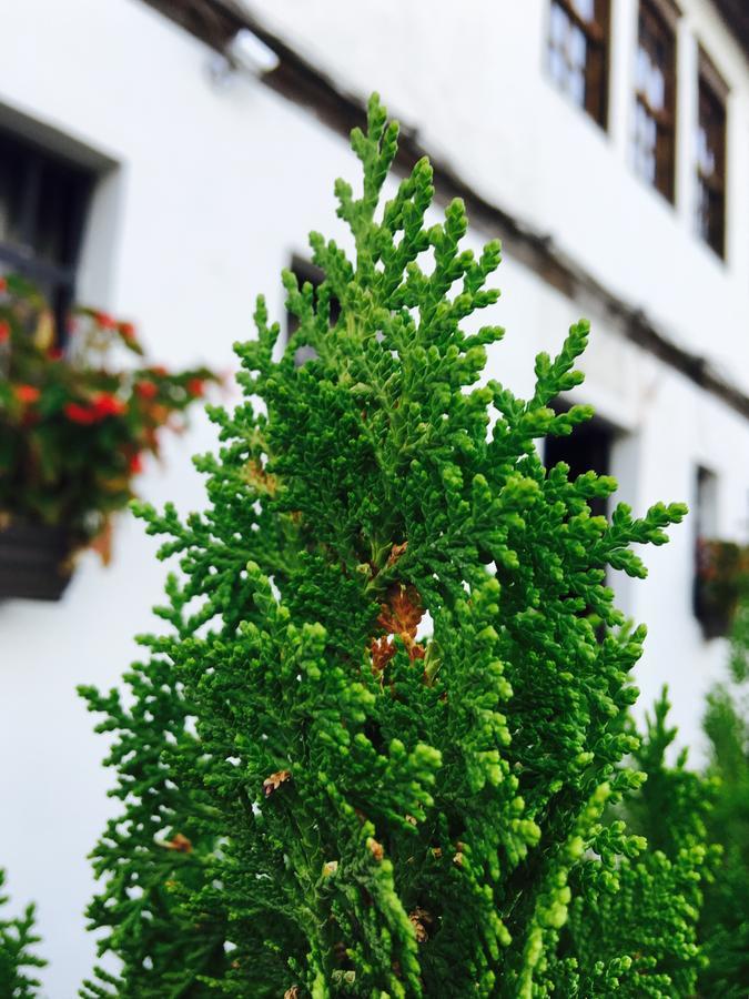 Hotel Omer Берат Екстер'єр фото